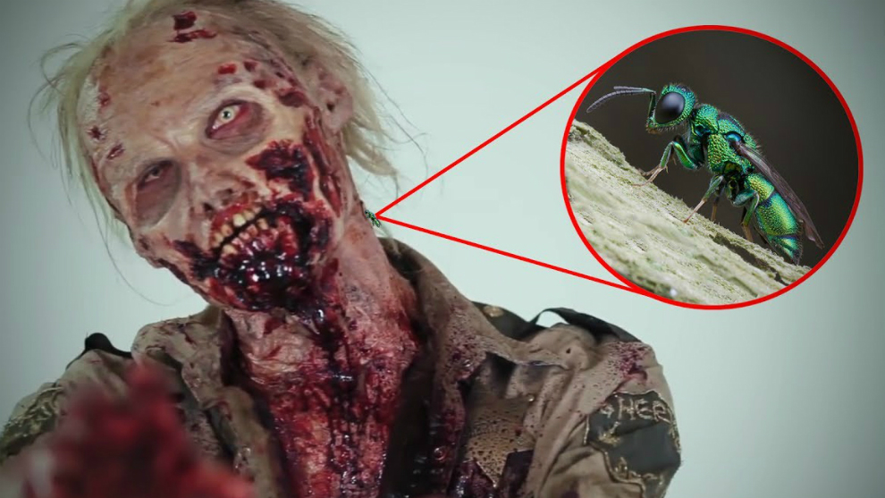 Ngeri! Inilah 5 Penyebab Manusia Bisa Berubah Menjadi Zombie