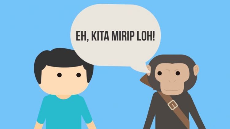 VIDEO: Apakah Perbedaan Tubuh Manusia Dengan Kera? Cek di Sini!