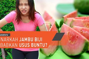 Benarkah jambu biji sebabkan usus buntu? 