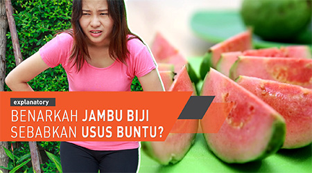 Benarkah jambu biji sebabkan usus buntu? 