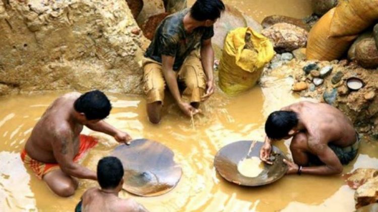 Miris! Inilah 4 Fakta Memilukan Penambang di Papua