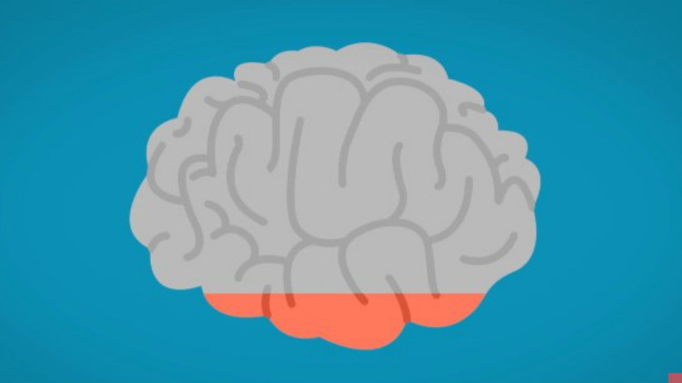 Inilah 5 Mitos Tentang Otak Manusia yang Terlanjur Dipercaya!
