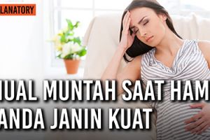 Apakah mual muntah saat hamil pertanda janin kuat?