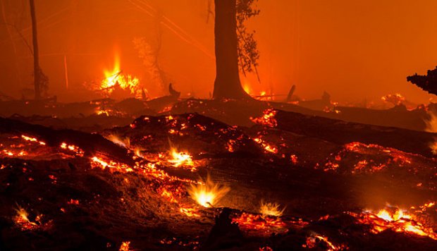 Kebakaran California, Los Angeles