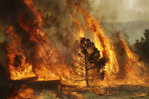 Kebakaran hutan, Minnesota Hinckley
