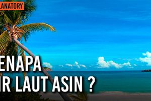 Kenapa air laut rasanya asin? Begini penjelasannya