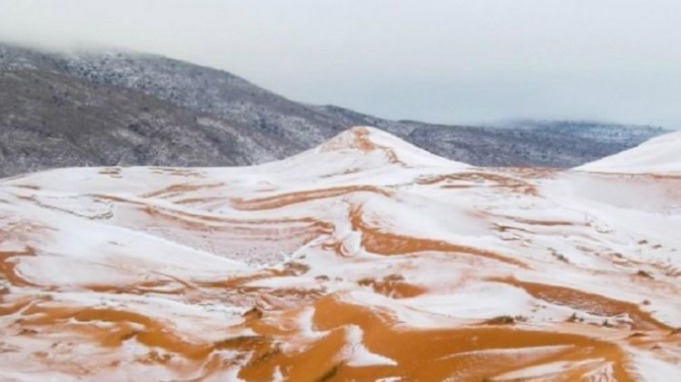 Selain Turun Salju di Gurun Sahara, Inilah Fakta Menarik Gurun Sahara!