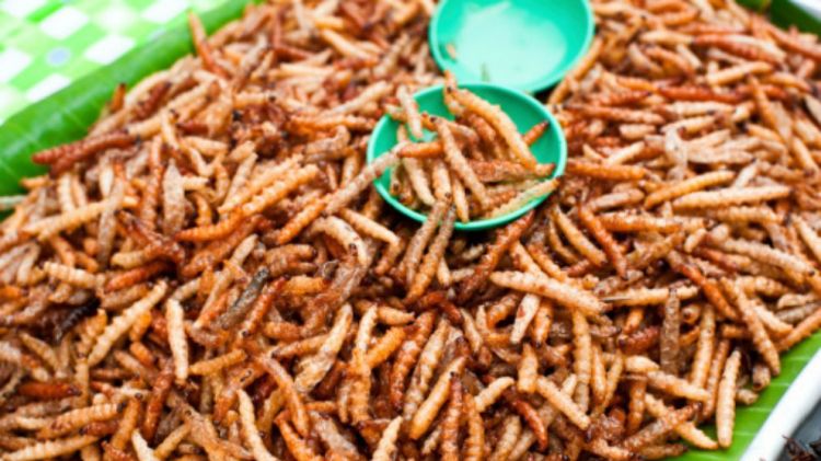Inilah 7 Makanan Manusia di Masa Depan Pengganti Nasi !