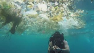Miris! Video Viral Bule Menyelam di 'Lautan Sampah' Bali 