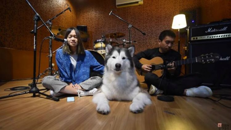 Fathia Izzati Kolaborasi Nyanyi Bareng Anjing Lucu Bikin Gemas