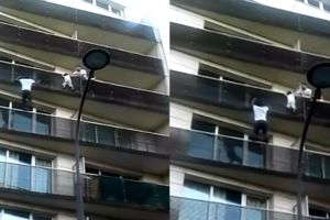 Layaknya Spiderman, pria ini panjat gedung untuk selamatkan bayi