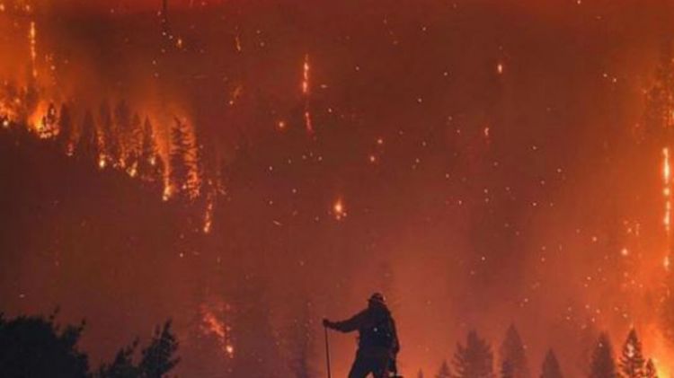Rumah seleb Hollywood jadi korban kebakaran hutan di California