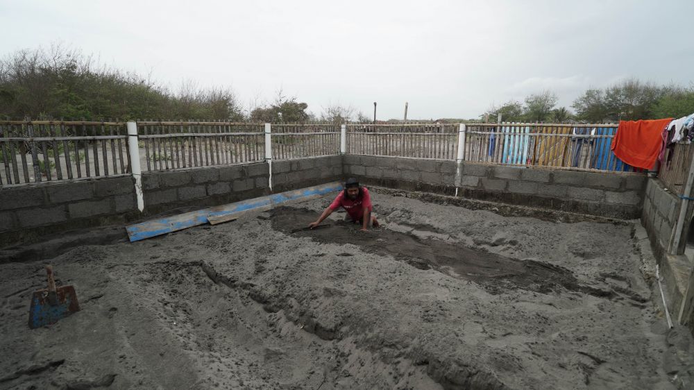 Kisah penyelamat penyu di pantai selatan Jogja ini bikin salut
