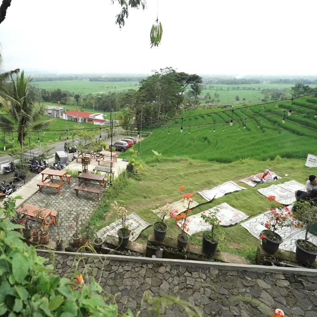 Kopi Ampirono, tempat nongkrong hits di tengah hamparan persawahan 