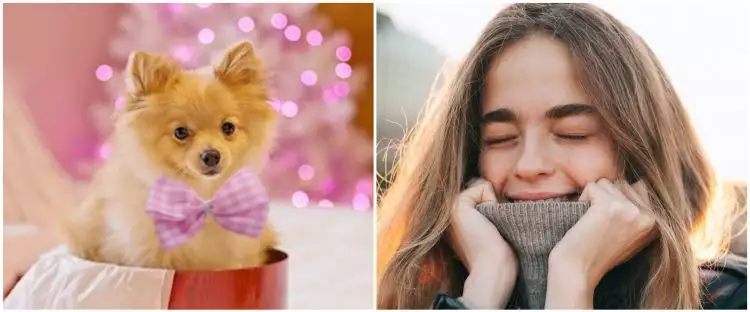 25 Arti mimpi digigit anjing menurut islam dan primbon Jawa, penuh makna mendalam
