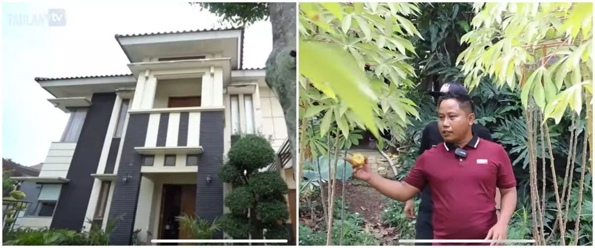 15 Potret rumah Narji yang jadi petani, kebun seluas lapangan bola