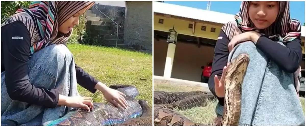 Bak sahabatan, 9 potret gadis berhijab asyik santai bareng ular jumbo