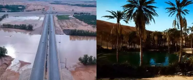 Meski tak punya sungai, ini alasan Arab Saudi tetap punya wilayah pertanian alami meski sulit air
