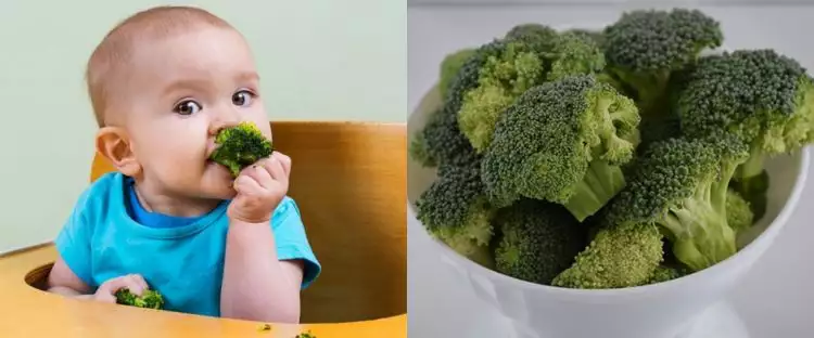 9 Manfaat brokoli untuk bayi, menjaga kesehatan sistem pencernaan