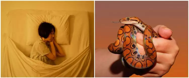 11 Arti mimpi digigit ular menurut psikologi, isyarat adanya tekanan dalam hidup