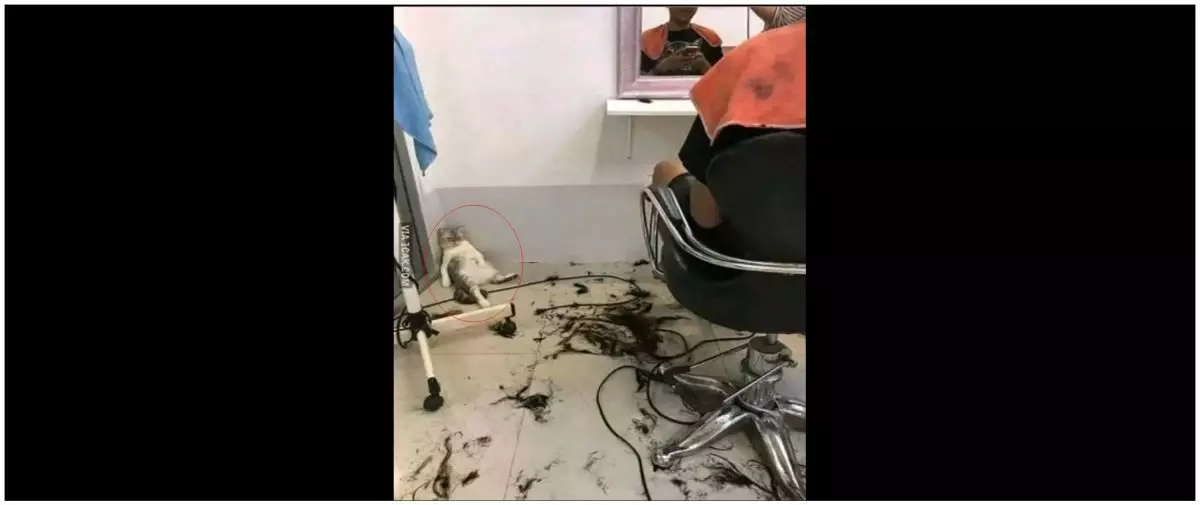 13 Potret kocak saat pangkas rambut ini nyeleneh abis, pose dan alat cukurnya bikin geleng kepala