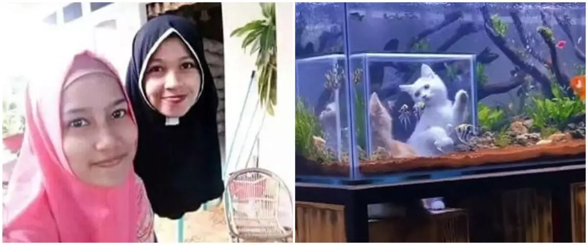 11 Potret kocak tak sengaja dijepret ini bikin garuk kepala, dilihat dua kali baru paham