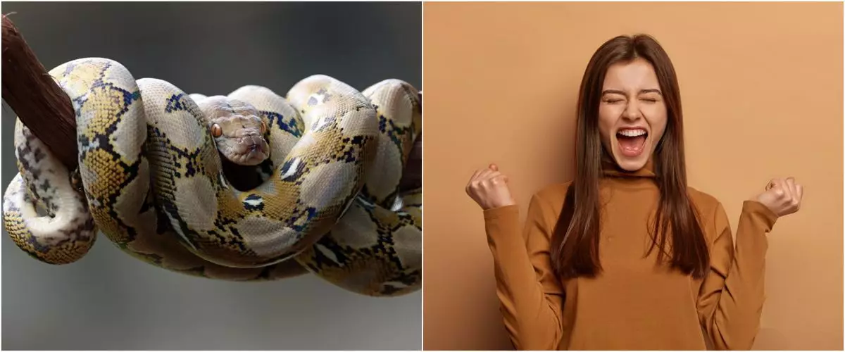 11 Arti mimpi digigit ular di tangan kanan menurut primbon Jawa, isyarat adanya kebaikan