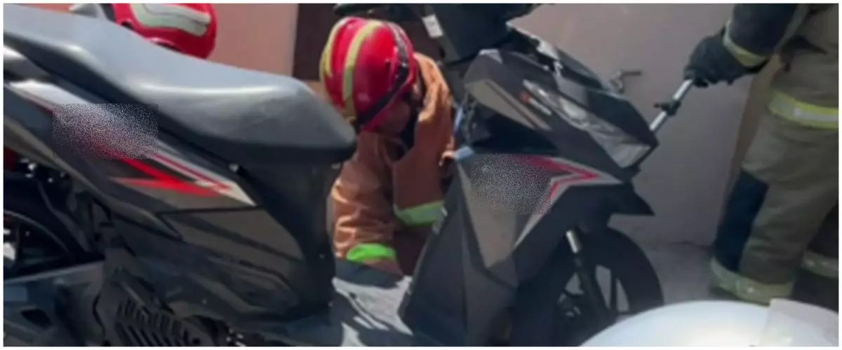 Alasan kenapa harus rajin cek motor, momen evakuasi ular dalam sepeda motor ini bikin deg-deg ser