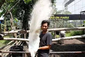 Dari Artis Kini Sukses Bisnis Hewan Hias dengan Keuntungan Fantastis