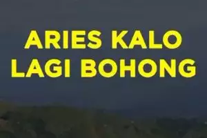 Aries Kalo Lagi Bohong