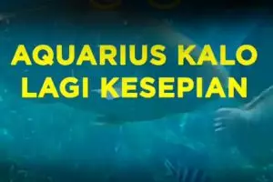 Aquarius Kalo Lagi Kesepian