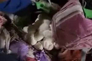 Aksi damkar evakuasi ular erami telur di tumpukan baju rumah warga