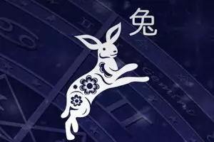 PENGENALAN SHIO KELINCI AIR 2023