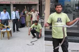 Mau ambil uang di ATM, yang keluar malah ular Kobra