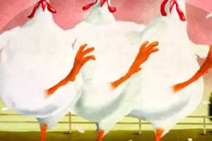 6 Alasan kamu harus kurangi konsumsi daging ayam