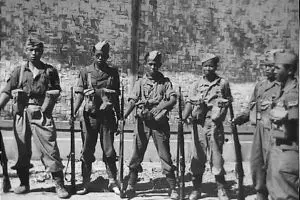 Kisah gerilyawan kemerdekaan dikawal harimau saat hindari kompeni