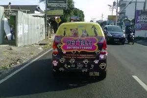 Ada-ada saja, bisnis taksi binatang ini laris manis