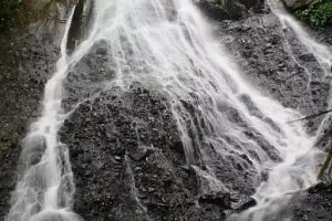 Pergi ke desa wisata ini dijamin pikiran jadi fresh