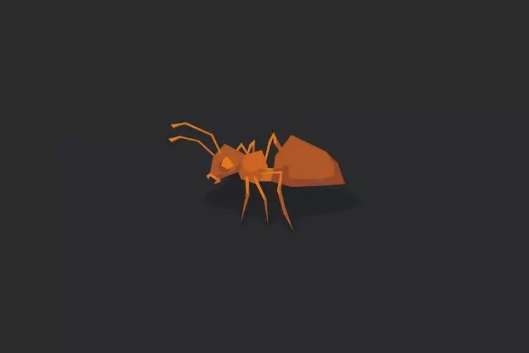 Cerita pelari sukses belajar dari perjuangan semut