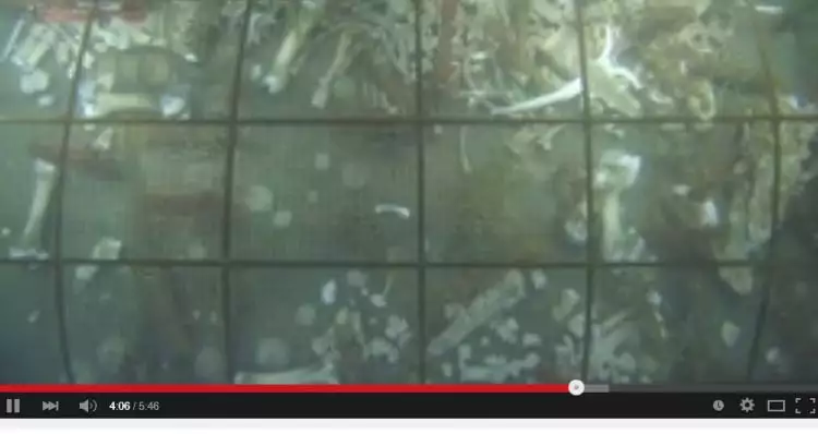 VIDEO: Ini yang terjadi pada jasad yang terendam dalam laut