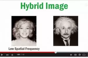 VIDEO: Cek kesehatan matamu, ini gambar Marilyn Monroe atau Einstein?