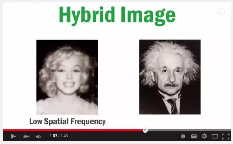 VIDEO: Cek kesehatan matamu, ini gambar Marilyn Monroe atau Einstein?