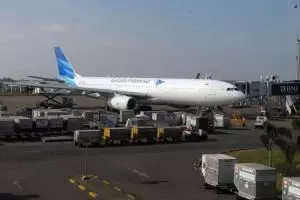 Ini penjelasan ilmiah Mario bisa bertahan di roda pesawat selama 1 jam