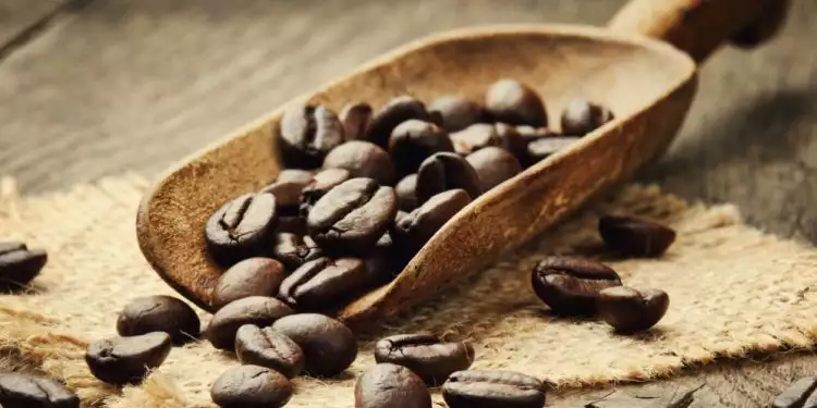 Ternyata protein kopi punya efek lebih kuat daripada morfin