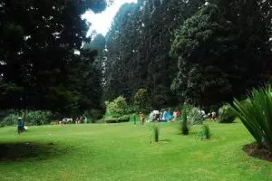 Rumah kantung semar pertama di Indonesia ada di Kebun Raya Cibodas