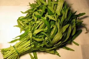 Benarkah makan kangkung bikin kantuk? Ini penjelasannya