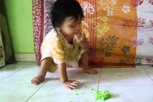 Makanan jatuh belum 5 menit, dibuang apa tetap dimakan ya?