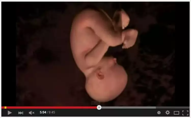 VIDEO: Ini yang terjadi ketika kamu berada dalam perut ibumu