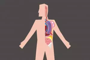 VIDEO: Ini yang terjadi di dalam perut kamu setelah makan mi instan!