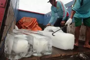 Es batu yang kamu minum dari air mentah atau air matang?